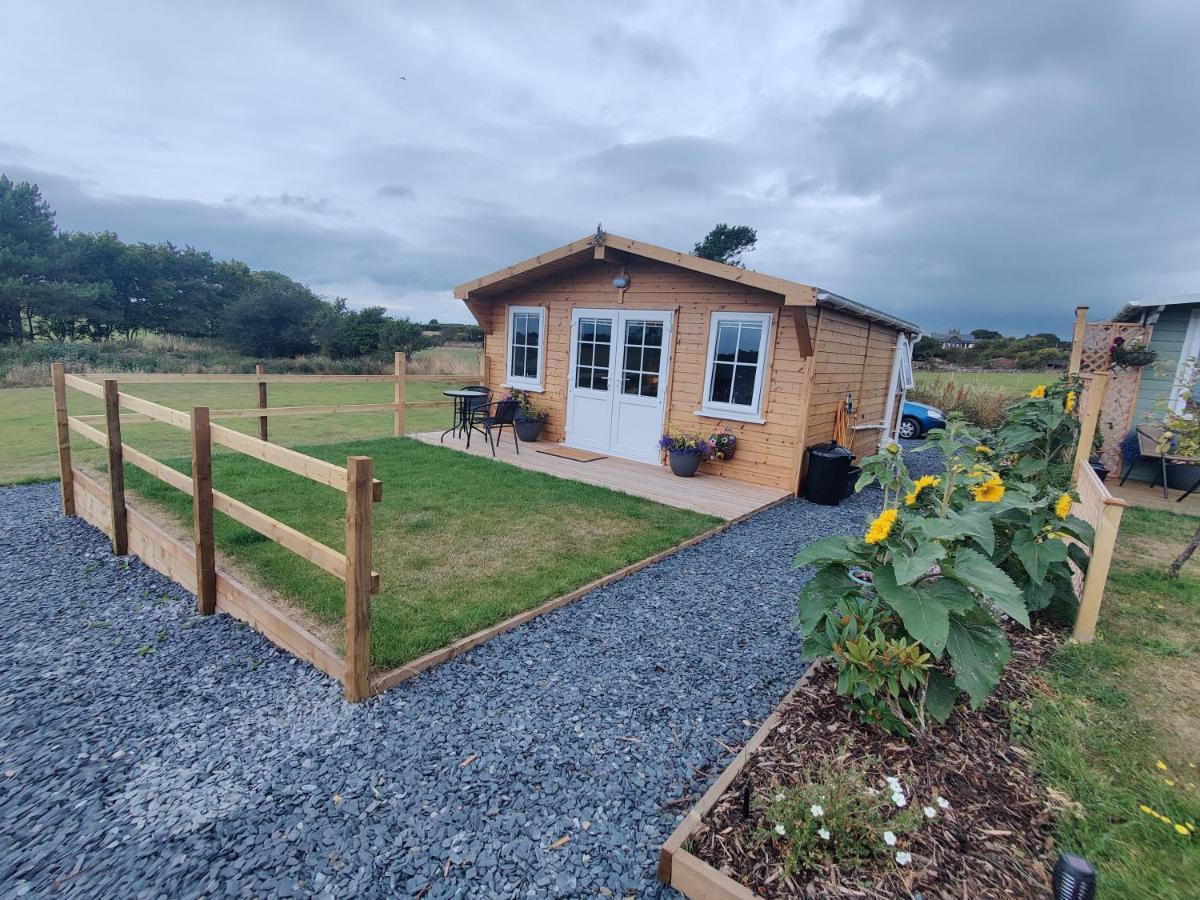Bumble Bee Cabin Bootle  エクステリア 写真